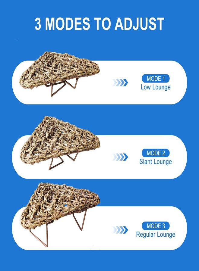 NANEEZOO Bearded Dragon Tank Accessories, Lizard Lounger for Rest, Reptile Hammock Bed with Natural Grass Fibers, Leopard Gecko Lounger Climbing Accessories for Habitats - Image 2